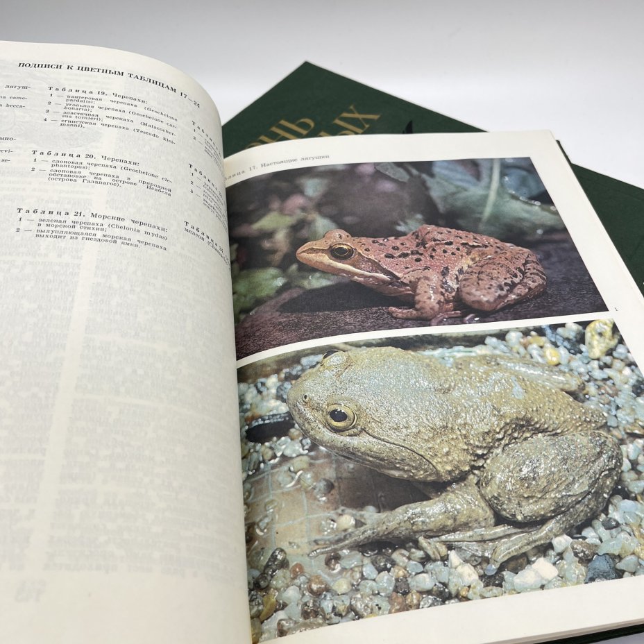 Книга "Жизнь животных", тома 5, 6, Издательство «Просвещение»