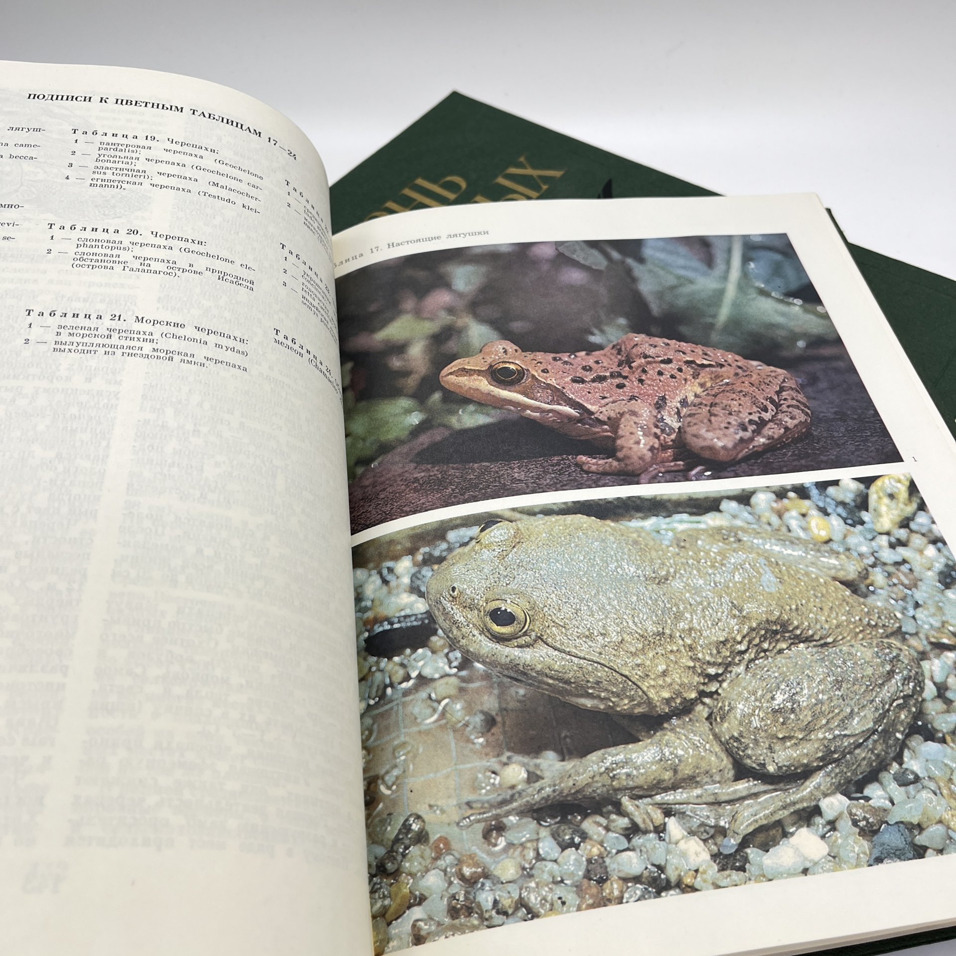 Книга "Жизнь животных", тома 5, 6, Издательство «Просвещение»