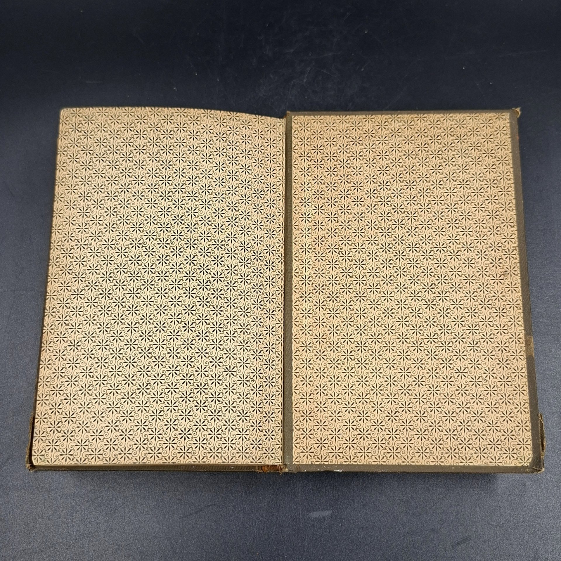 Книга "Die von Hohenstein" ("Фон Гогенштайн"), автор Friedrich Spielhagen, том 2