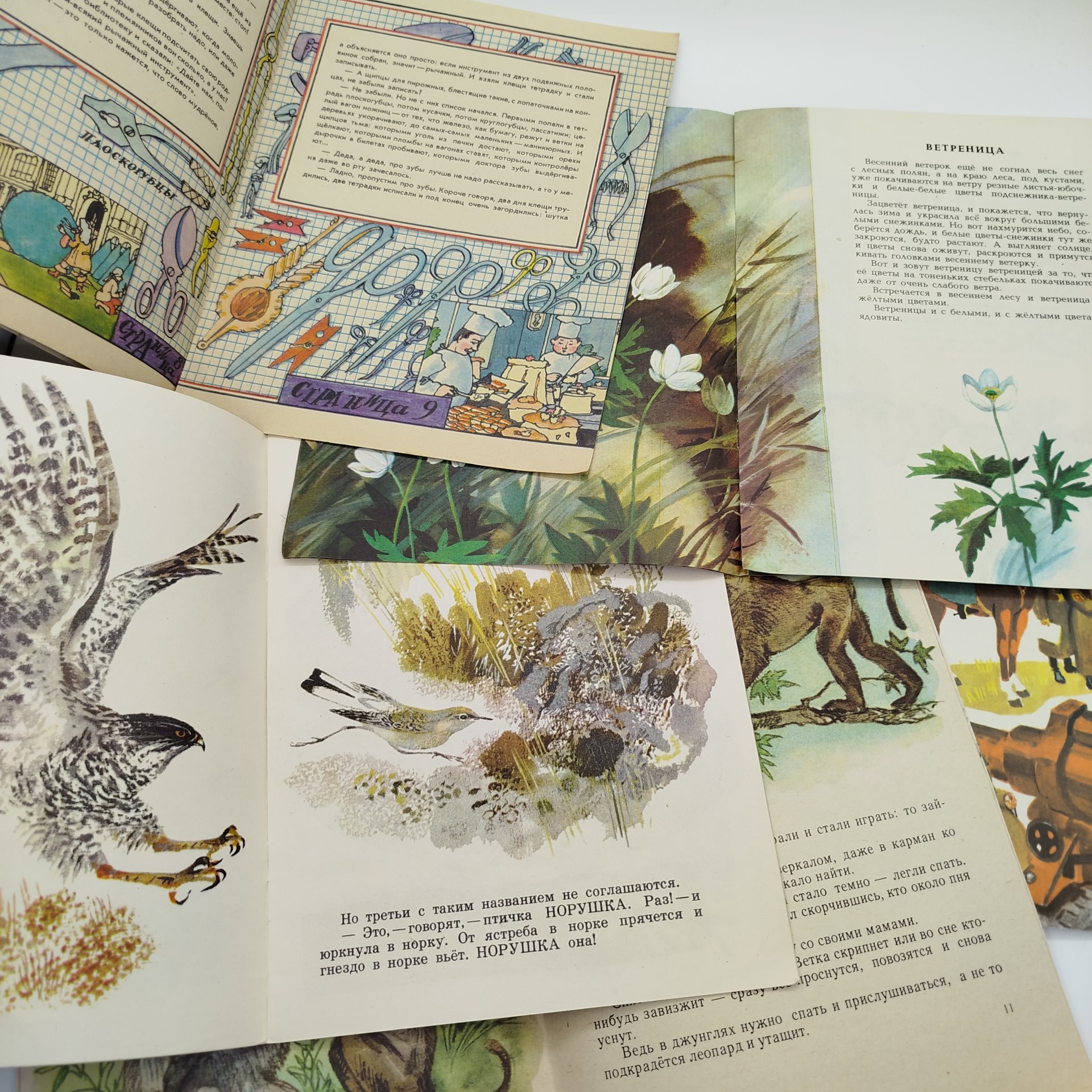 Набор из 5-ти детских книг (А. Гайдар "Поход", А. Маркуша "Хитрая точка", А. Онегов "Первый цветок", Н. Сладков "Каменка-плясунья", Г. Снегирёв "У обезьян"), Издательство "Малыш", бумага, печать, СССР, 1983-1985 гг.