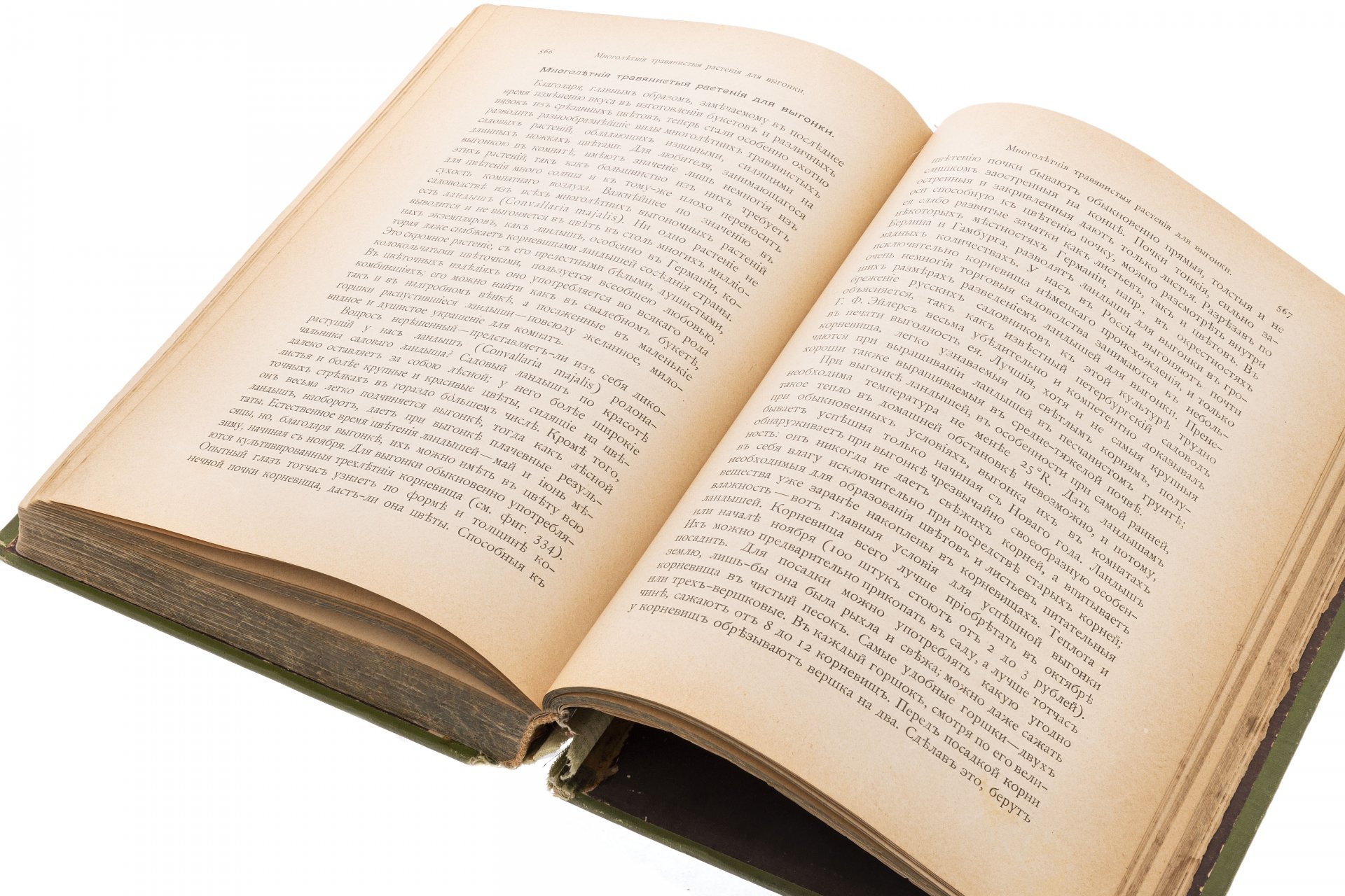 Книга "Комнатное садоводство" М. Гесдёрфер, перевод А. Семёнов, бумага, картон, тиснение, издание А.Ф. Девриена, Санкт-Петербург, 1898 гг. — фото 4