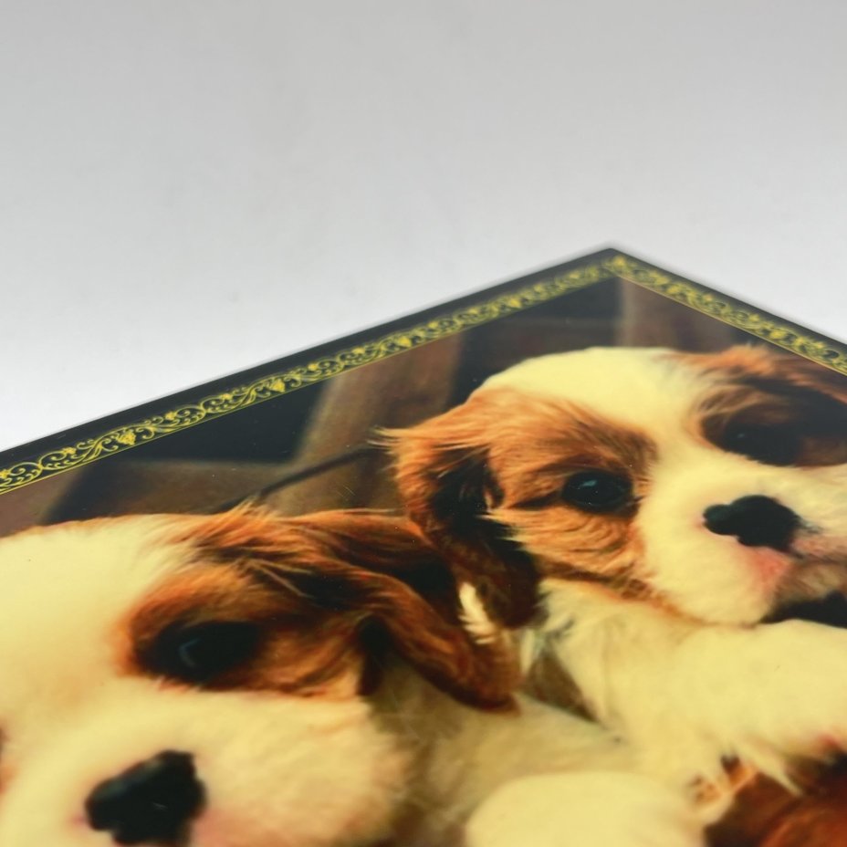 Шкатулка с изображением щенков