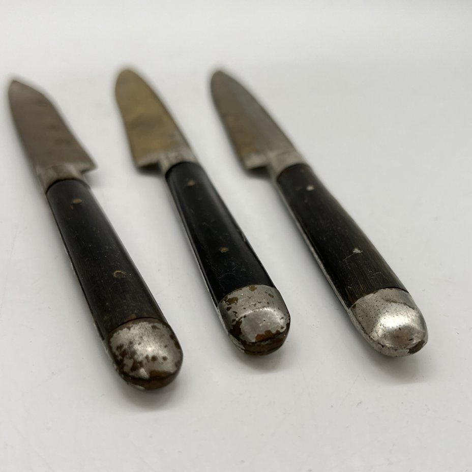 Набор из 3 фруктовых ножей с деревянными рукоятями