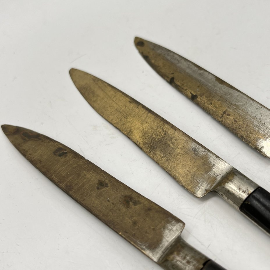 Набор из 3 фруктовых ножей с деревянными рукоятями