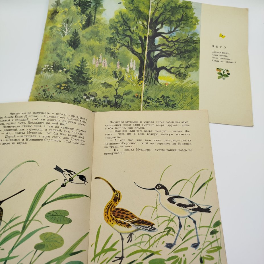 Набор из 5-ти детских книг (В. Бианки "Чей нос лучше?", "Когда это бывает?", Р. Кудашева "Ёлочка", белорусские сказки "Вихревы подарки", Е. Пермяк "Хитрый коврик"), Издательство "Малыш"