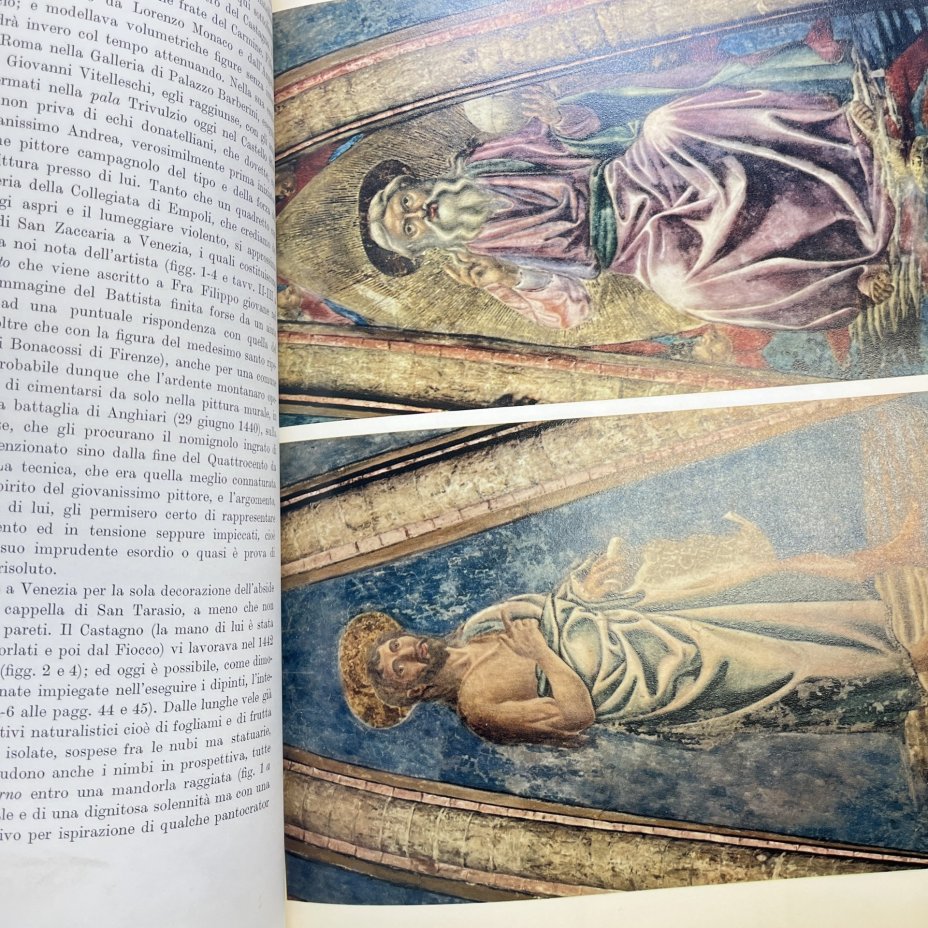 Книга Andrea Del Castagno на итальянском языке, Mario Salmi