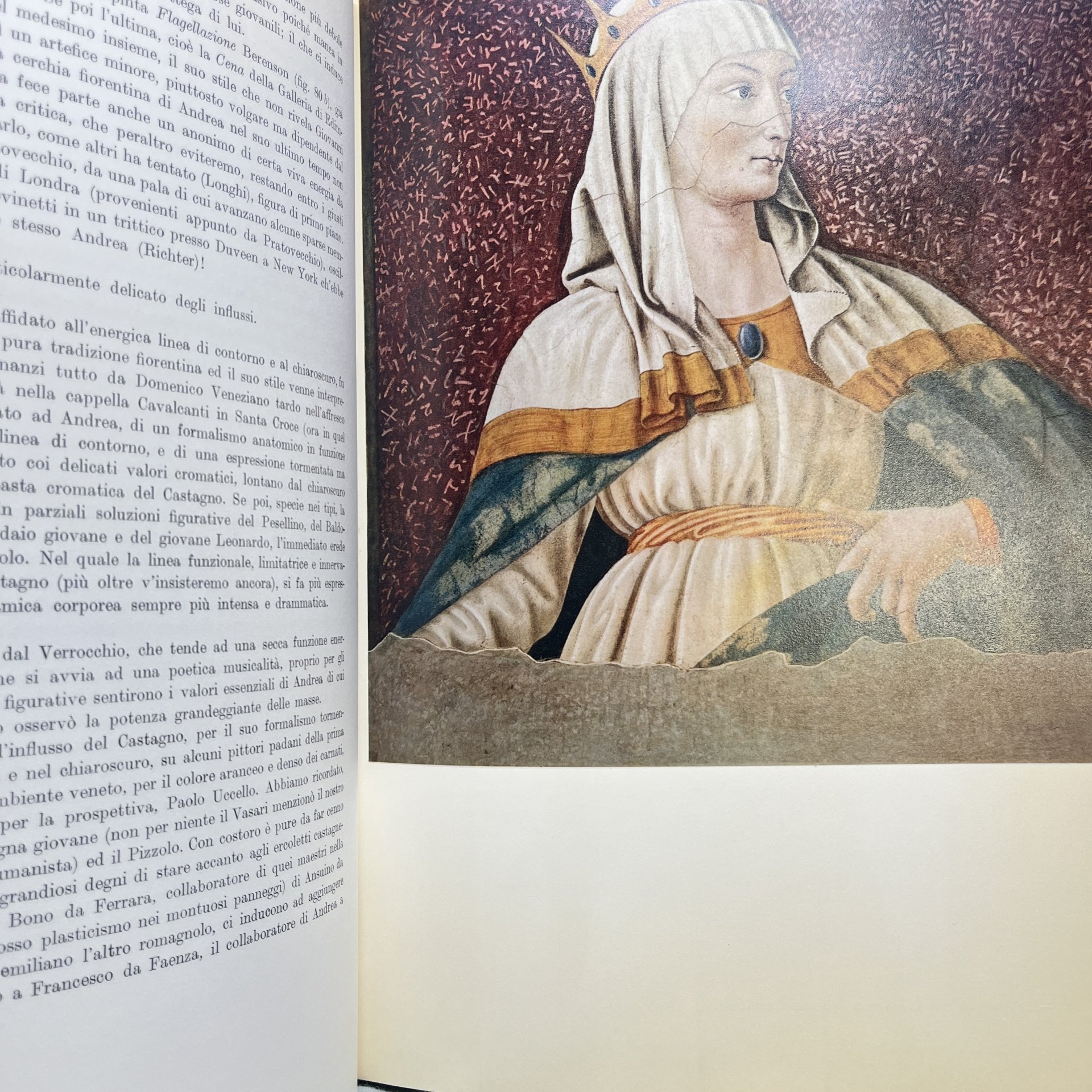 Книга Andrea Del Castagno на итальянском языке, Mario Salmi