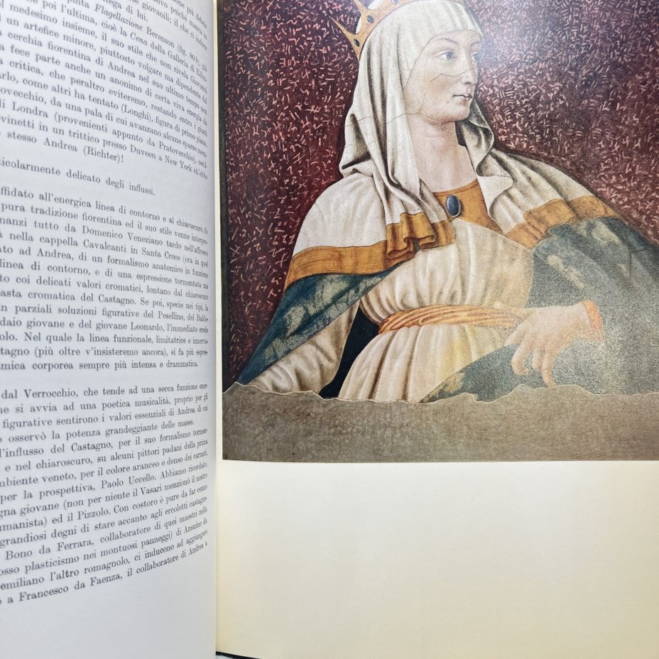 Книга Andrea Del Castagno на итальянском языке, Mario Salmi