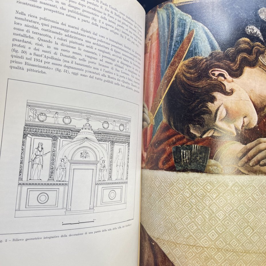 Книга Andrea Del Castagno на итальянском языке, Mario Salmi