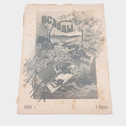 Журнал "Всходы", 1 июля, бумага, печать