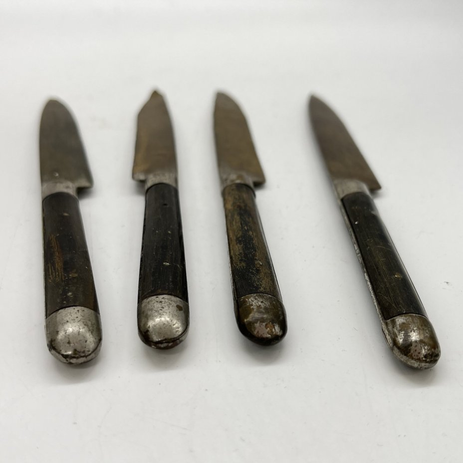 Набор из 4 фруктовых ножей с деревянными рукоятями