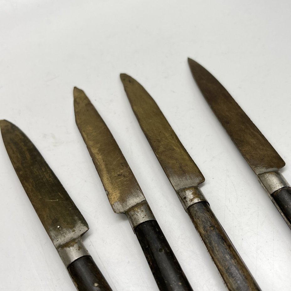 Набор из 4 фруктовых ножей с деревянными рукоятями