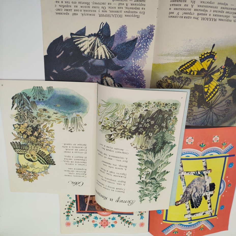 Набор из 5-ти детских книг ("Что я вижу дома?", "Курочка Ряба", Ю. Аракчеев "Весёлое лето", Г. Ладонщиков "Доброе дело", Э. Межелайтис "Сказки моего детства"), Издательство "Малыш"