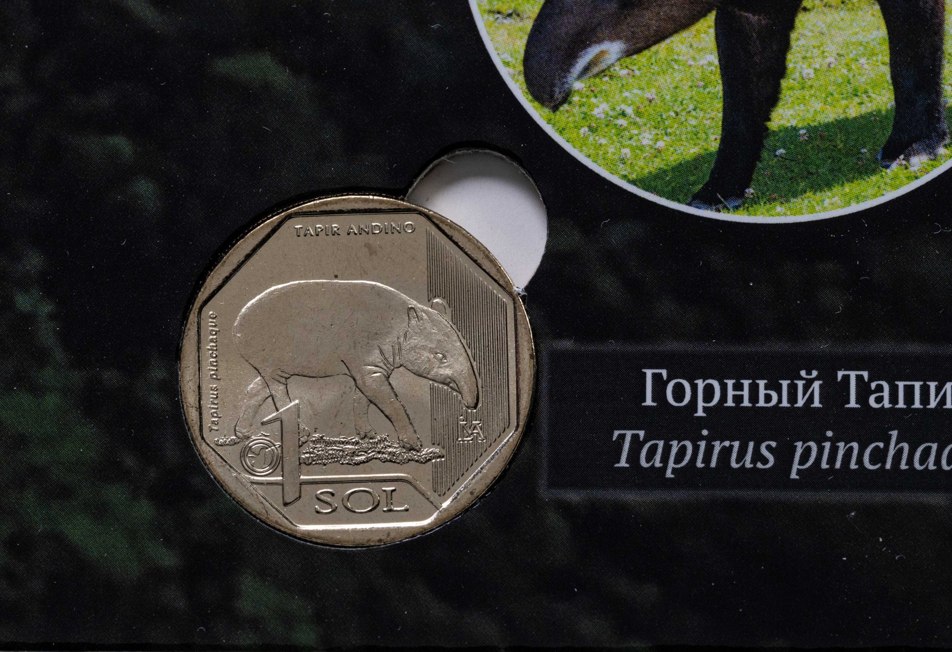 Статуэтка "Первая любовь"