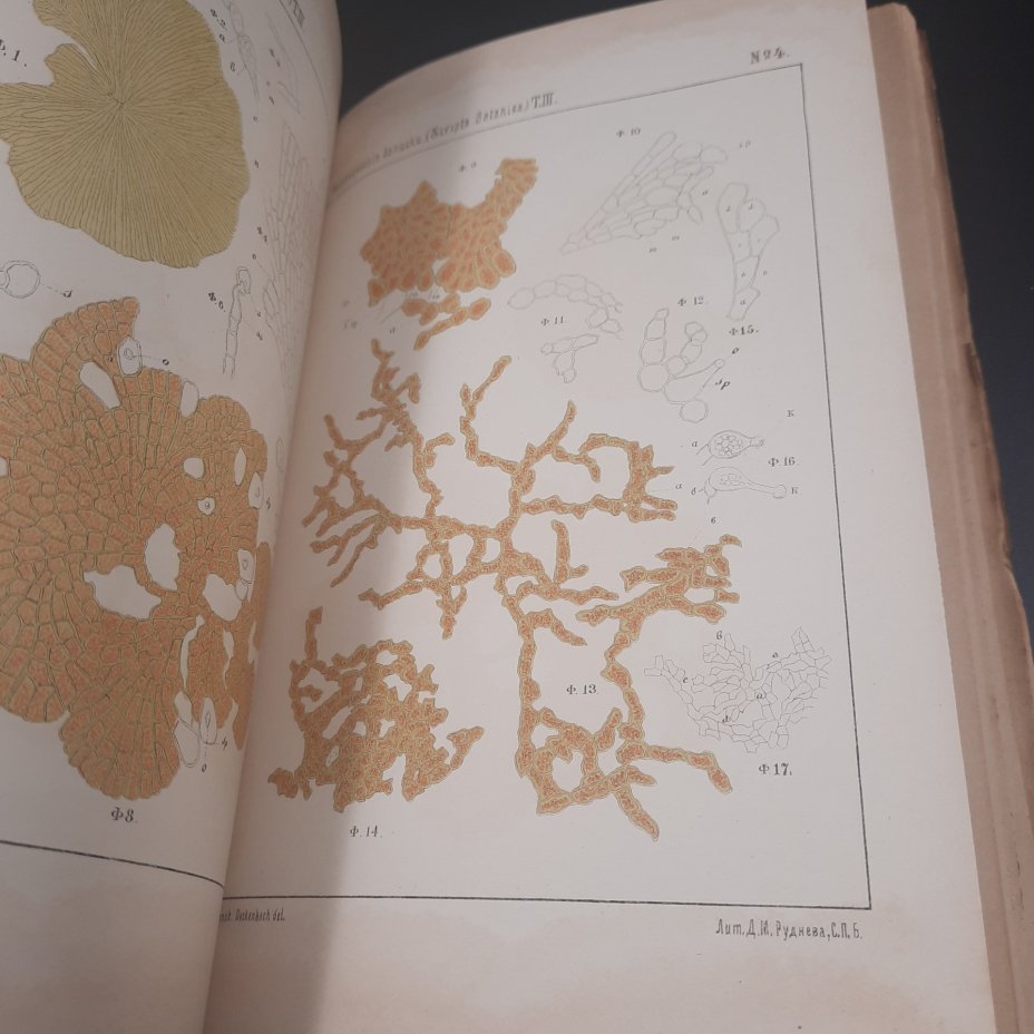 Бекетов А.Н., Гоби Хр. "Ботанические записки, издаваемые при Ботаническом саде Императорского Санкт-Петербургского университета", том III, выпуск 2