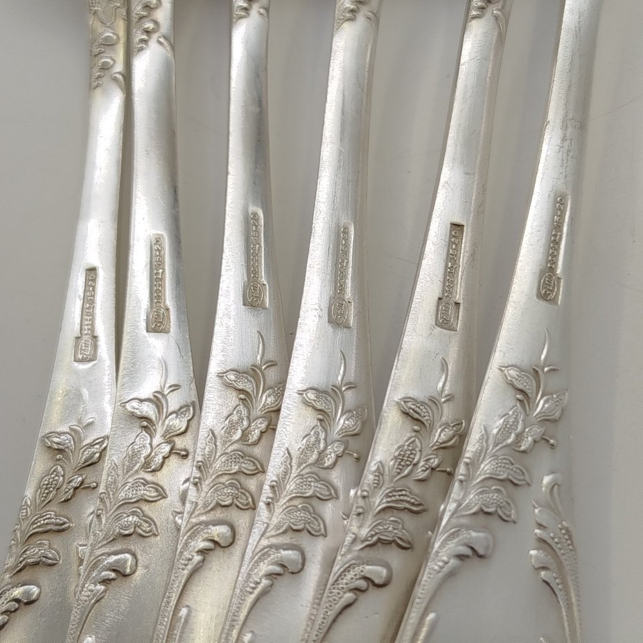 Набор столовых ложек с растительным декором на 6 персон