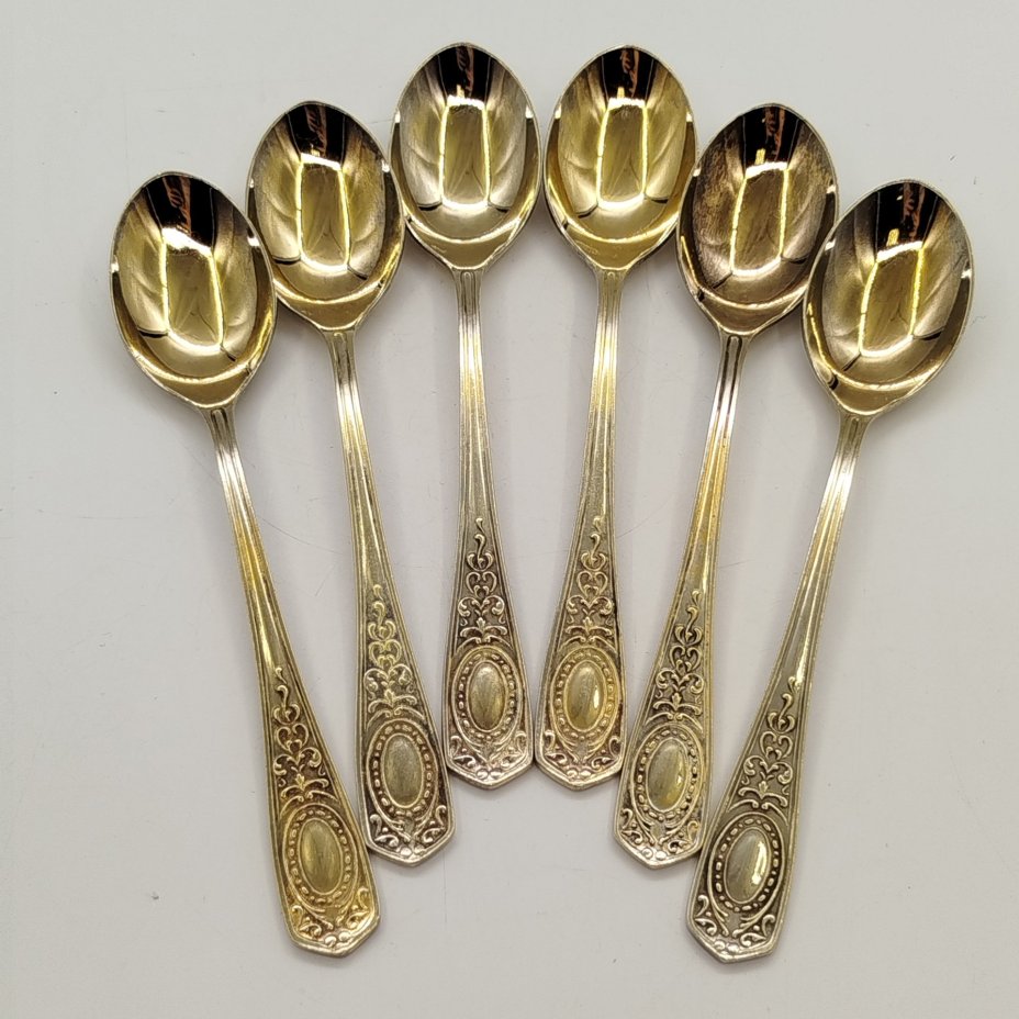 Набор из шести чайных ложек с растительным декором