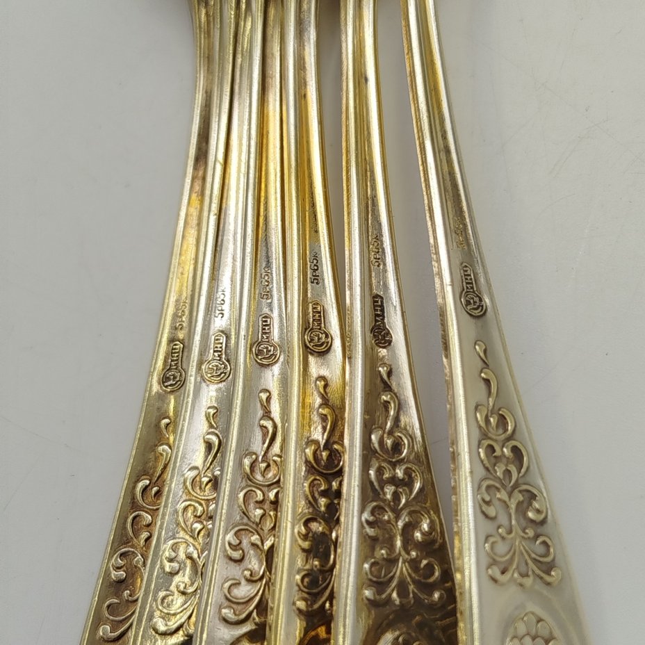 Набор из шести чайных ложек с растительным декором