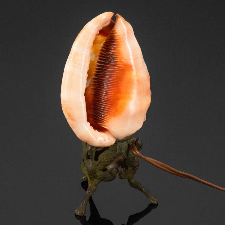 Ночник винтажный из раковины с рельефным изображением "Три грации" ("Балерины"), морская раковина, камея, сплав металлов, полимерный материал