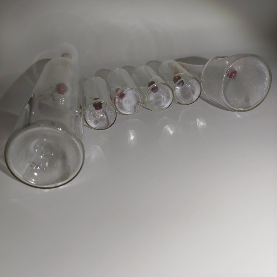 Набор для ягодных настоек на 4 персоны (6 предметов)