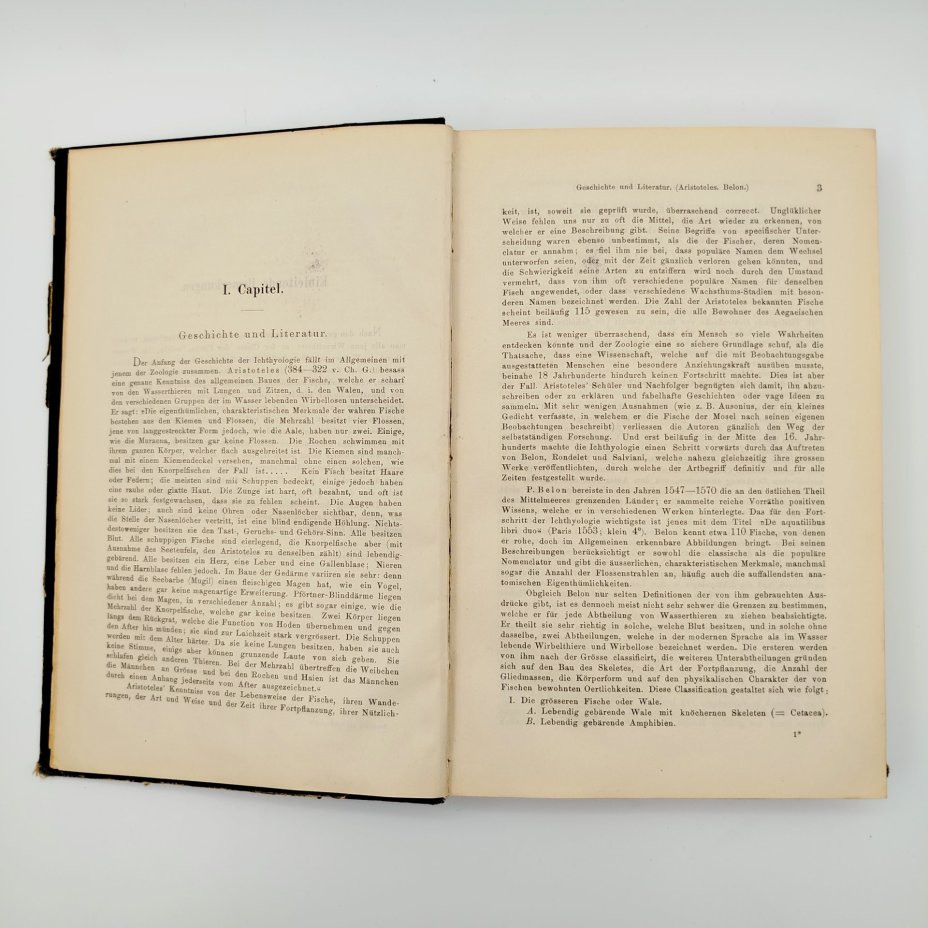 Книга "Руководство по ихтиологии" ("Handbuch der Ichthyologie") на немецком языке, автор Альберт К. Л. Г. Гюнтер (Albert C. L. G. Günther), издательство Druck und Verlag von Carl Gerold’s Sohn (Вена)
