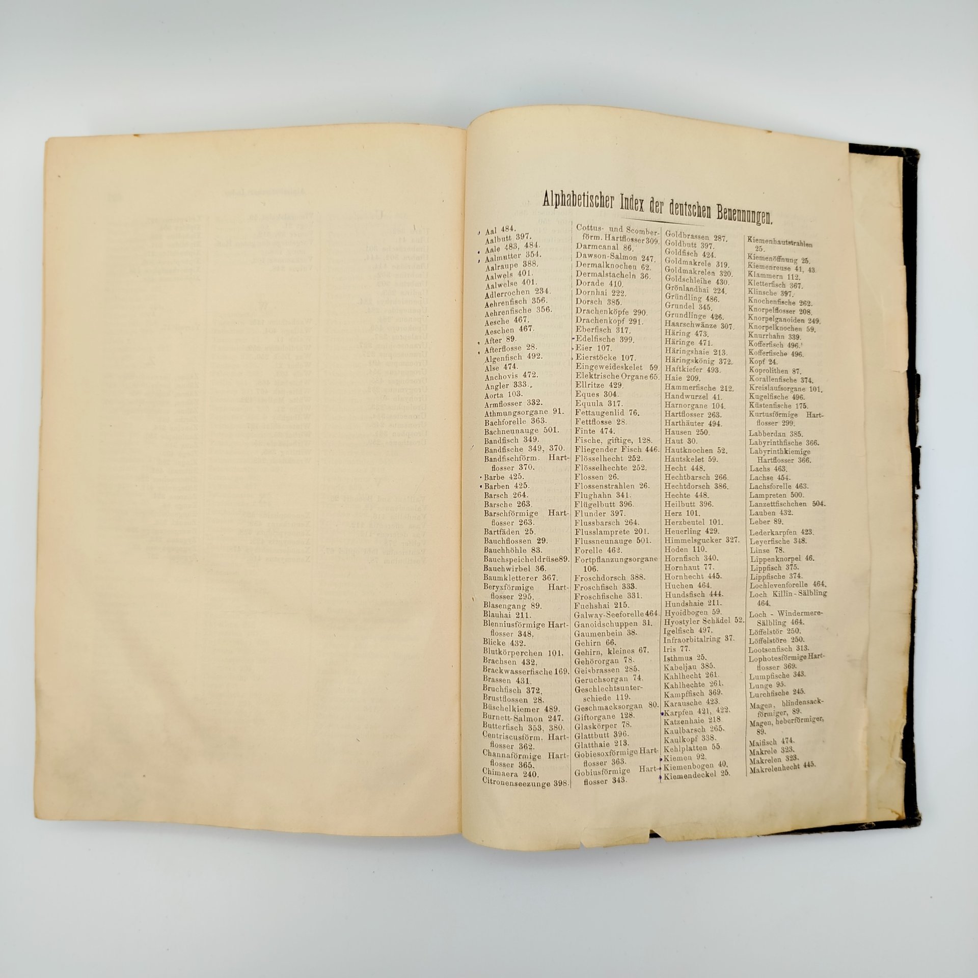 Книга "Руководство по ихтиологии" ("Handbuch der Ichthyologie") на немецком языке, автор Альберт К. Л. Г. Гюнтер (Albert C. L. G. Günther), издательство Druck und Verlag von Carl Gerold’s Sohn (Вена), бумага, печать, Австрия, 1886 г.