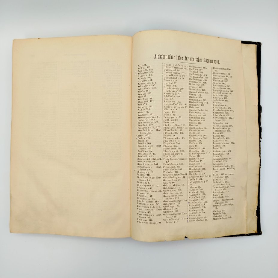 Книга "Руководство по ихтиологии" ("Handbuch der Ichthyologie") на немецком языке, автор Альберт К. Л. Г. Гюнтер (Albert C. L. G. Günther), издательство Druck und Verlag von Carl Gerold’s Sohn (Вена)