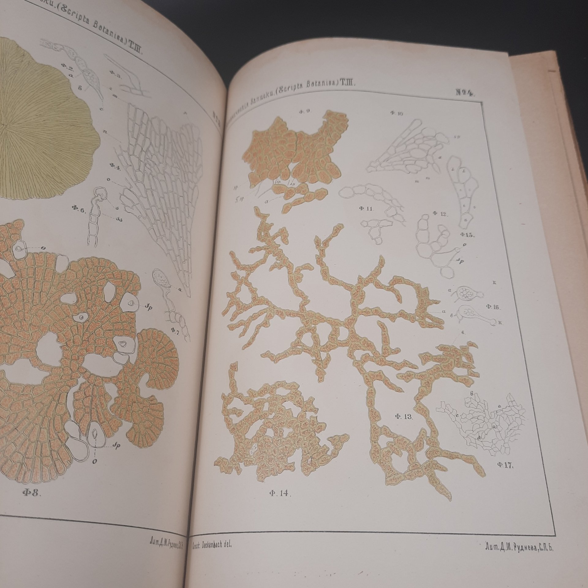 Бекетов А.Н., Гоби Хр. "Ботанические записки, издаваемые при Ботаническом саде Императорского Санкт-Петербургского университета", том III, выпуск 2
