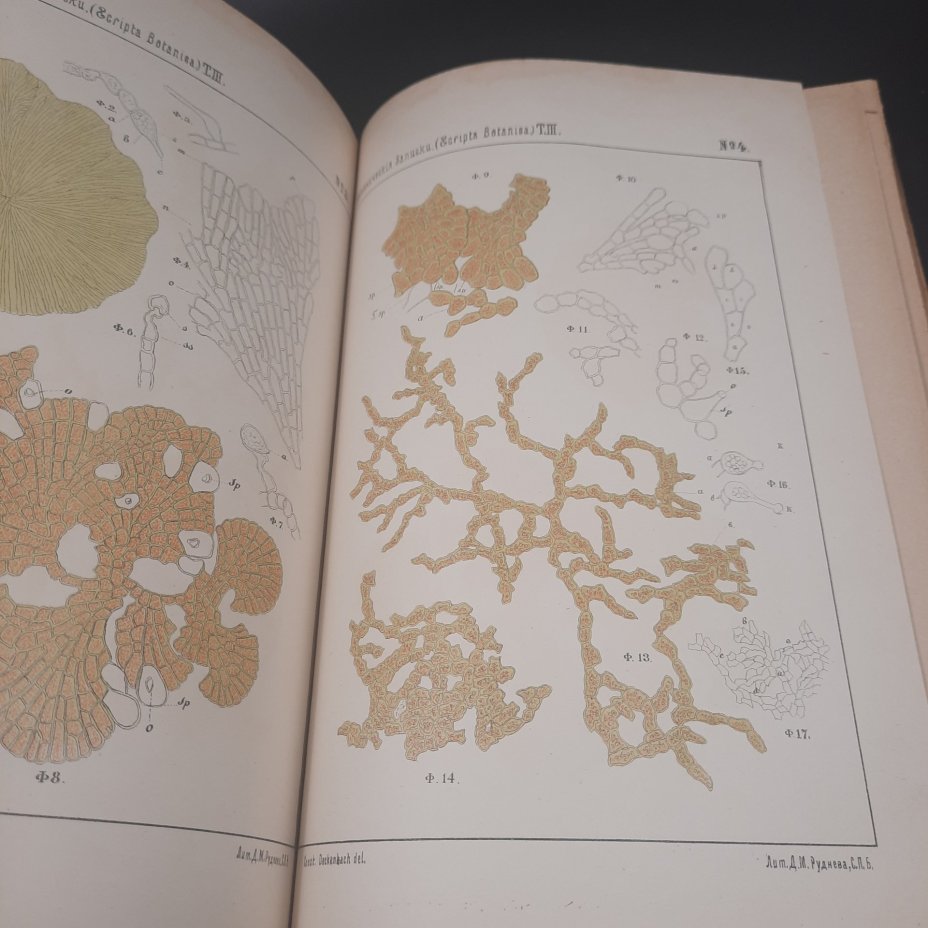 Бекетов А.Н., Гоби Хр. "Ботанические записки, издаваемые при Ботаническом саде Императорского Санкт-Петербургского университета", том III, выпуск 2