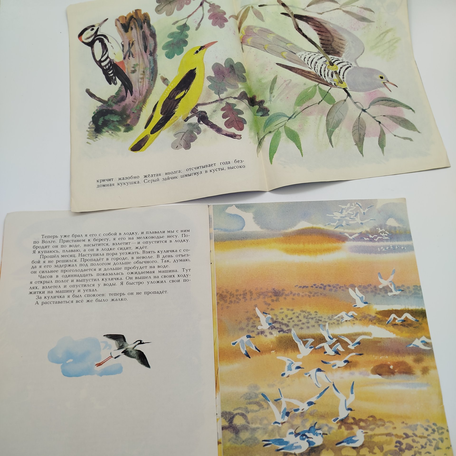 Набор из 5-ти детских книг (И. Лебедев "Куличок-Ходулочник", А. Яшин "Журавли", К. Ушинский "В лесу летом", М. Зверев "Лесные "доктора", "Курочка Ряба"), Издательство "Малыш", бумага, печать, СССР, 1982-1983 гг.