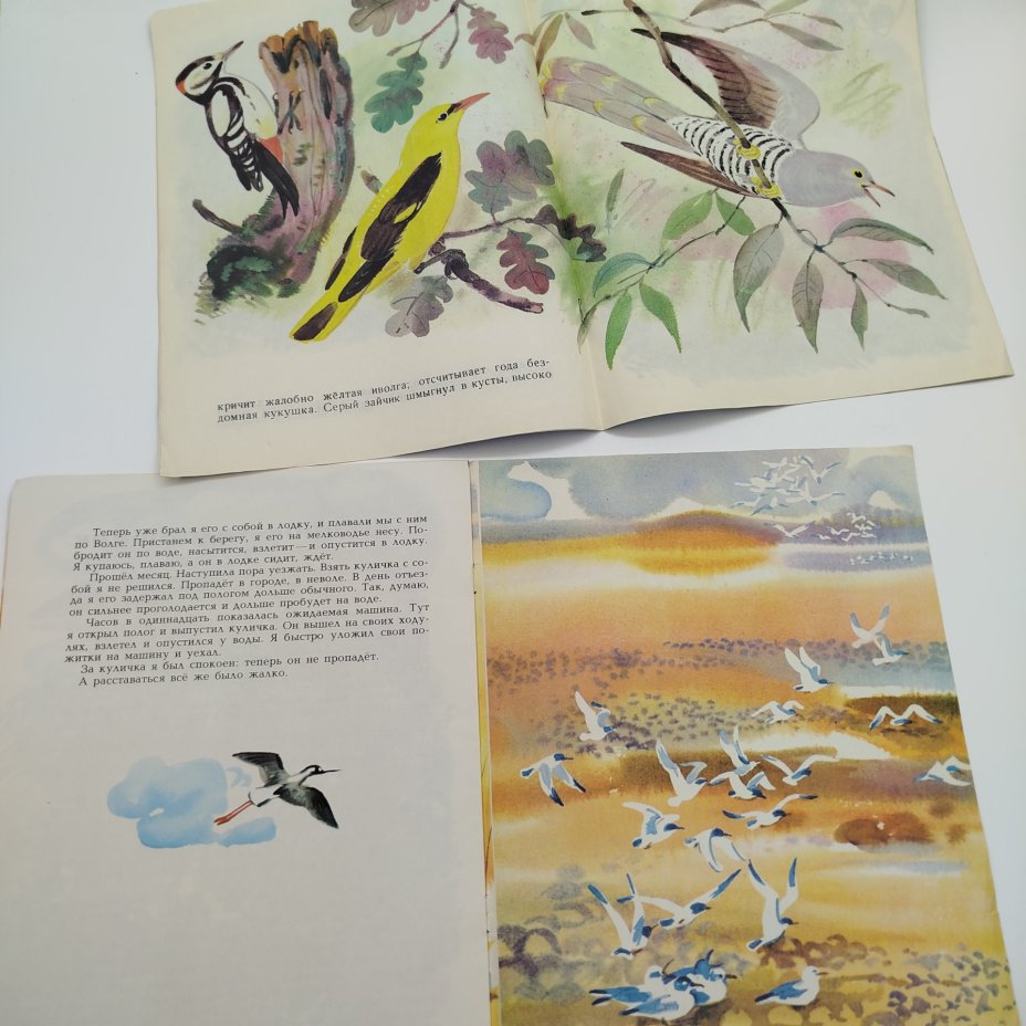Набор из 5-ти детских книг (И. Лебедев "Куличок-Ходулочник", А. Яшин "Журавли", К. Ушинский "В лесу летом", М. Зверев "Лесные "доктора", "Курочка Ряба"), Издательство "Малыш"