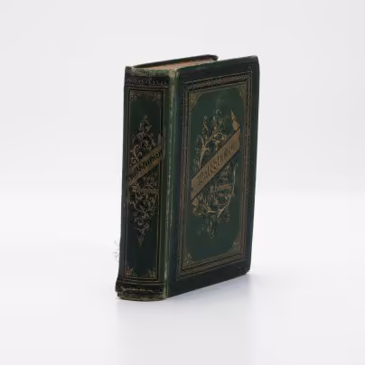 Новеллы "Лесные цветы", (Waldblumen), Wilhelmine Heimburg, (на немецком языке), Издательство «Verlag von Velhagen & Klasing»