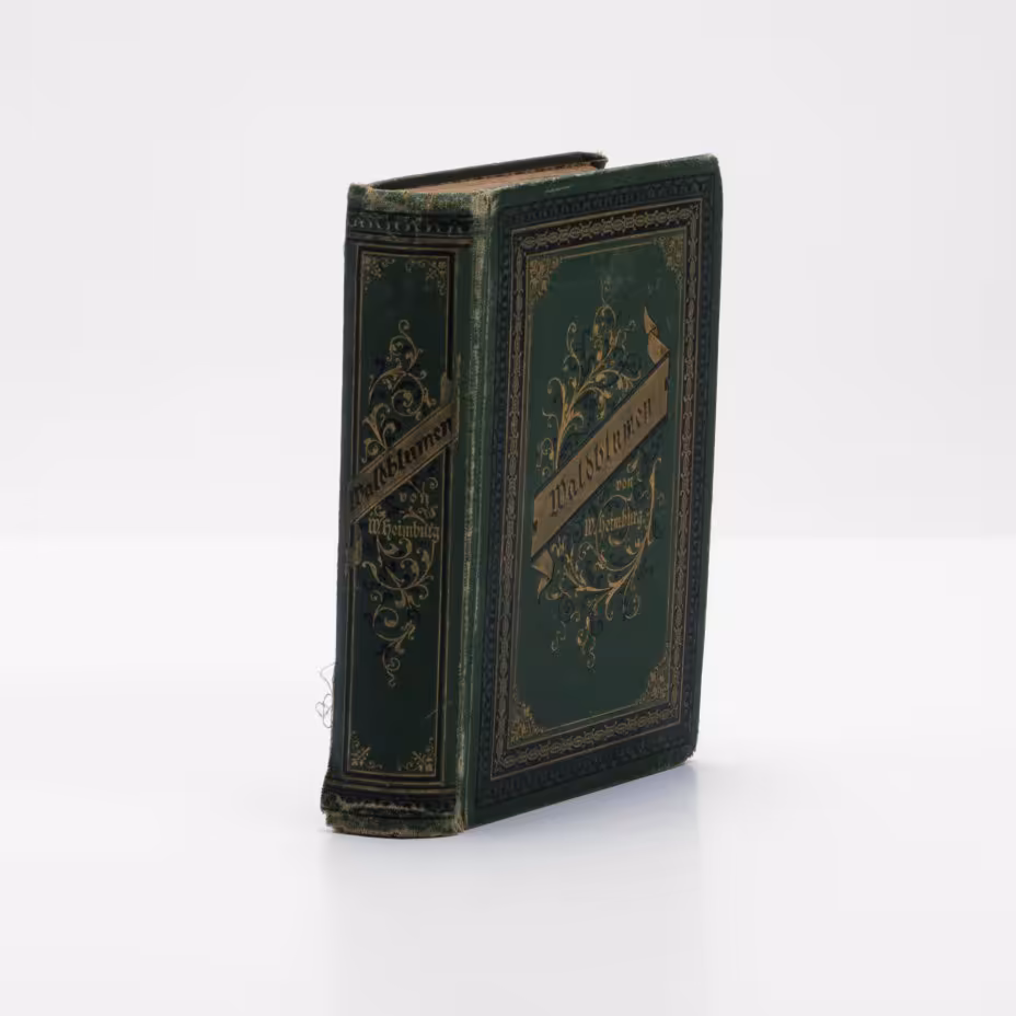 Новеллы "Лесные цветы", (Waldblumen), Wilhelmine Heimburg, (на немецком языке), Издательство «Verlag von Velhagen & Klasing»