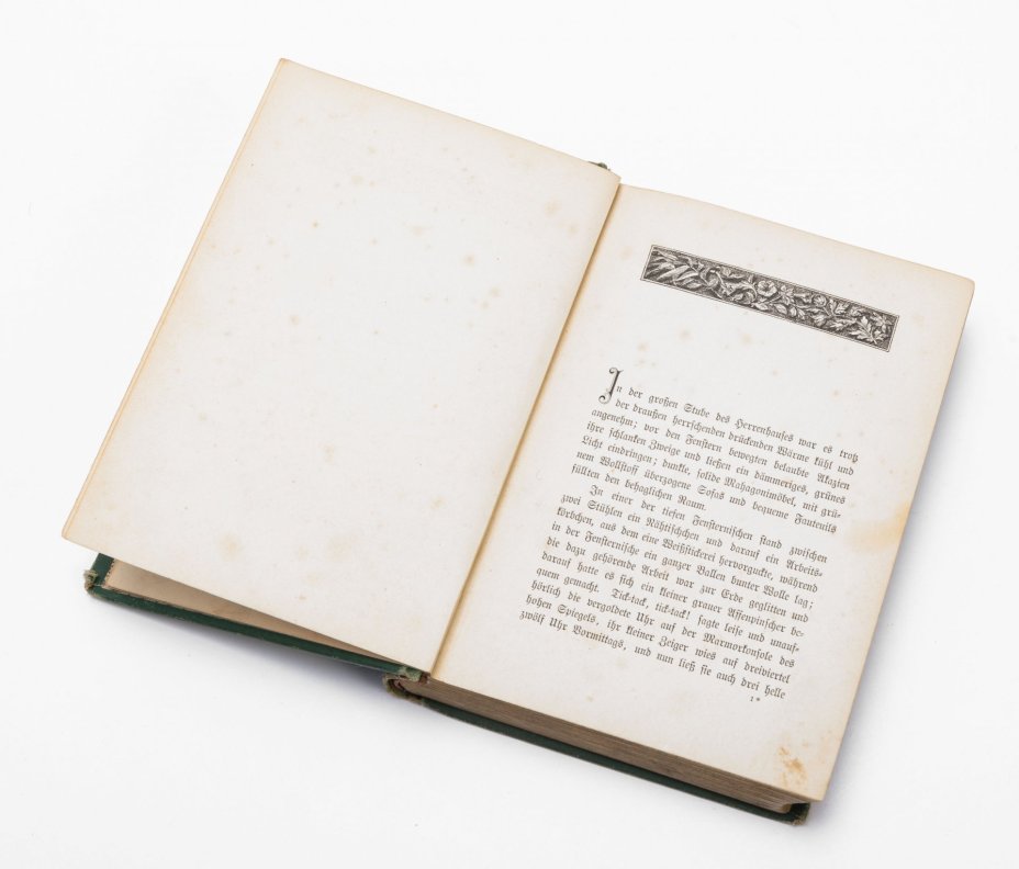 Новеллы "Лесные цветы", (Waldblumen), Wilhelmine Heimburg, (на немецком языке), Издательство «Verlag von Velhagen & Klasing»