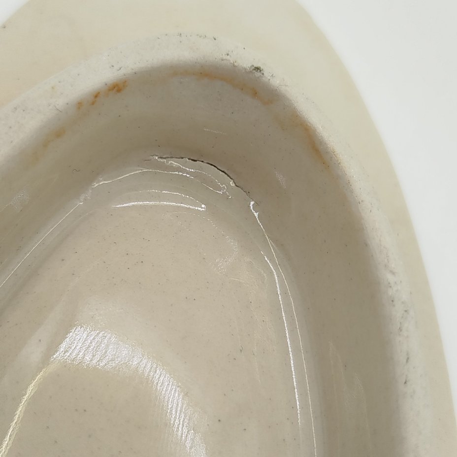 Селёдочница в форме рыбы