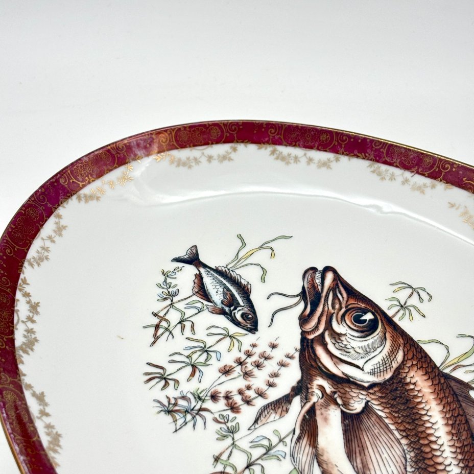 Блюдо овыльной формы, декорированное изображением рыб, фарфор, деколь, крытье, золочение, Seltmann Weiden, Бавария, 1950-1970 гг.