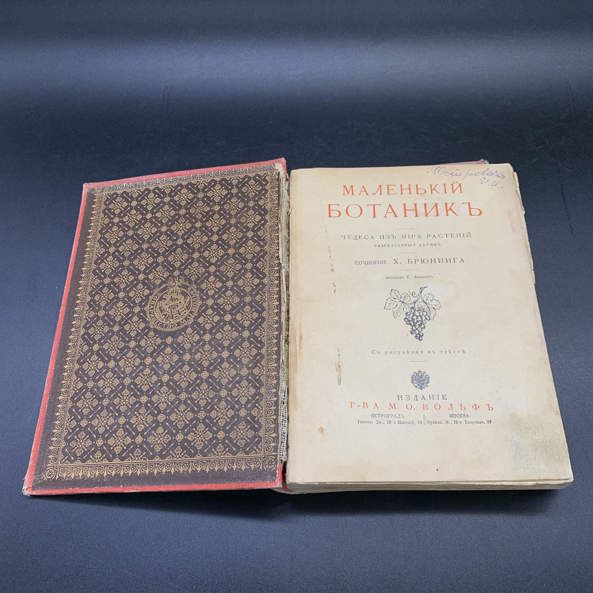 Книга "Маленький ботаник: Чудеса из мира растений, рассказанные детям", Брюнинг, К., Издательство «Товарищество М.О. Вольф»