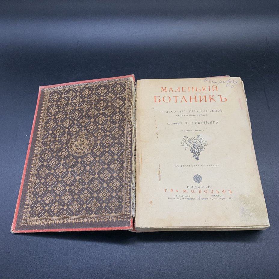 Книга "Маленький ботаник: Чудеса из мира растений, рассказанные детям", Брюнинг, К., Издательство «Товарищество М.О. Вольф»