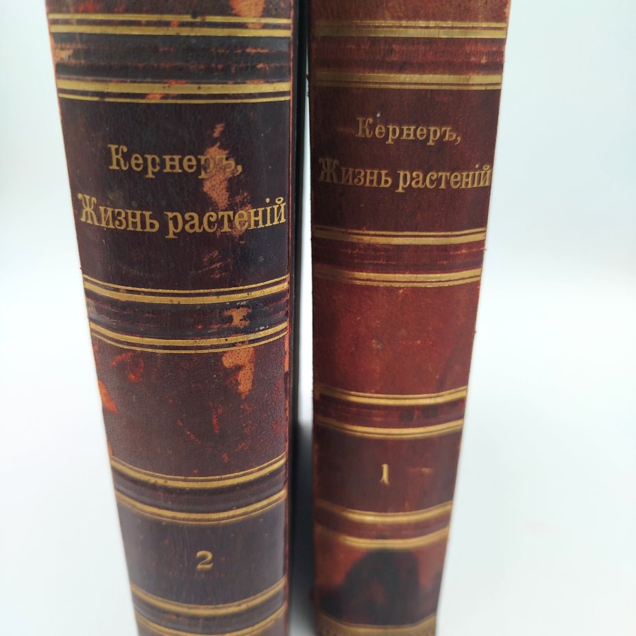 А. Кернер фон-Марилаун «Жизнь растений», т. 1, 2, бумага, печать, кожа, тиснение, золочение, Книгоиздательское товарищество «Просвещение», Российская империя, 1903 г., Книгоиздательское товарищество «Просвещение»