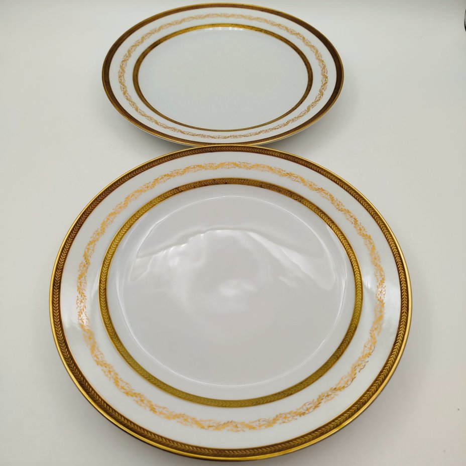 Набор тарелок для горячих блюд с растительным декором на 6 персон, серия "Charleroi-Bruxelles", фарфор, золочение, Tirschenreuth, Германия, 1969-1990 гг.