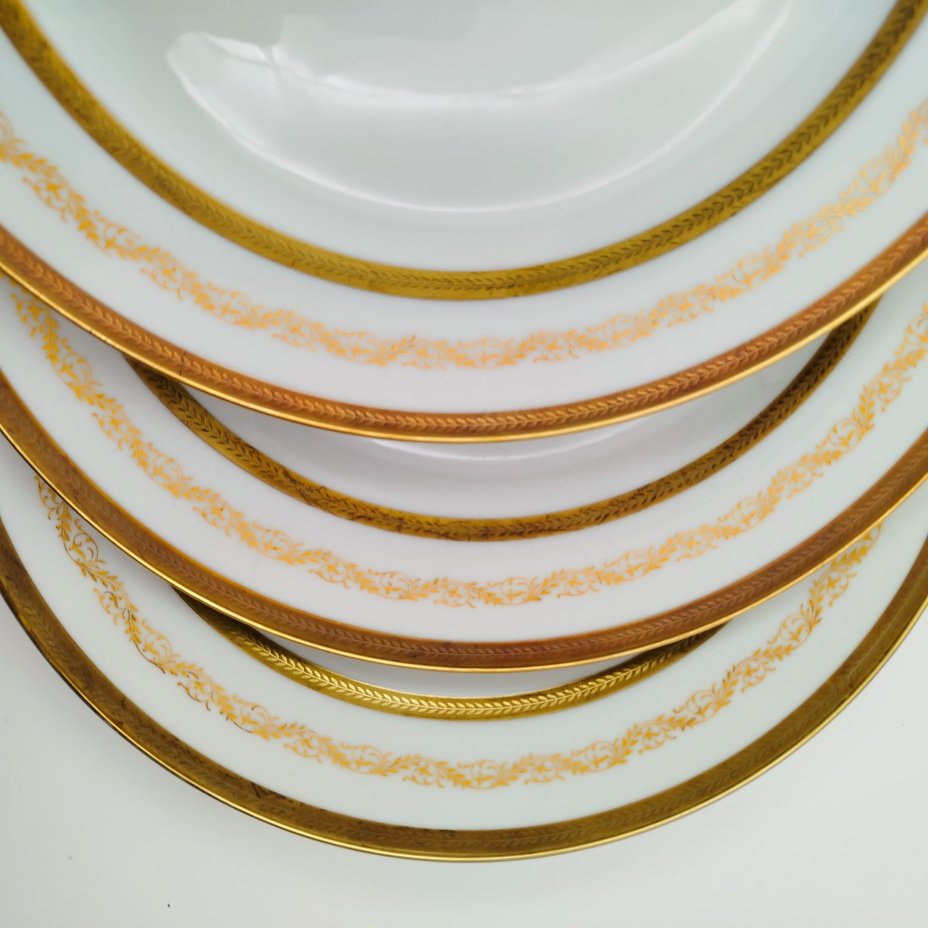 Набор тарелок для горячих блюд с растительным декором на 6 персон, серия "Charleroi-Bruxelles", фарфор, золочение, Tirschenreuth, Германия, 1969-1990 гг.
