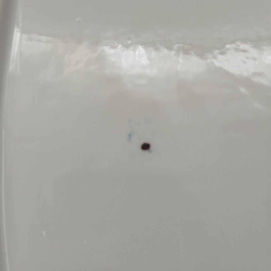 Блюдо вытянутой формы с цветочным декором, фарфор, роспись, люстр, золочение, Барановский фарфоровый завод, СССР, 1970-1991 гг.