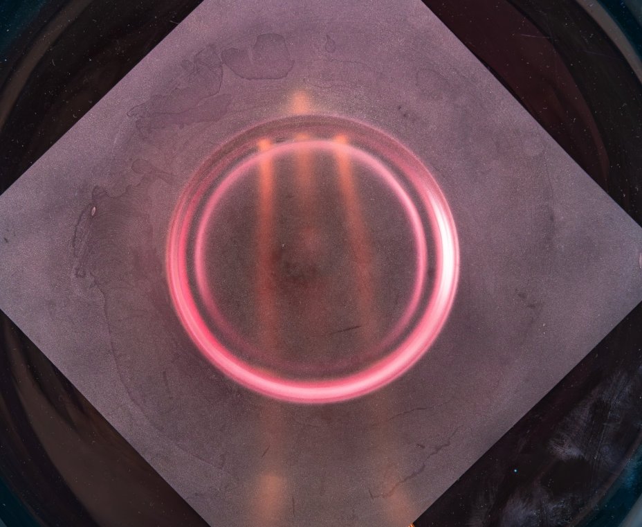 Блюдо сине-розового оттенка