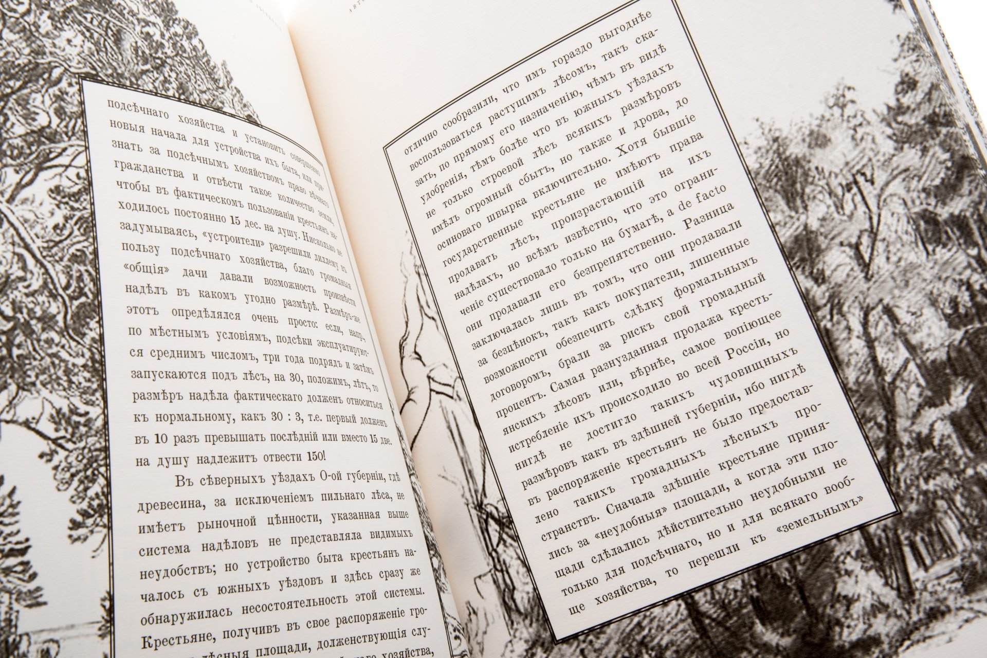 Альбом "Автобиографические заметки старого лесничего", бумага, печать, Россия, 2006 г.