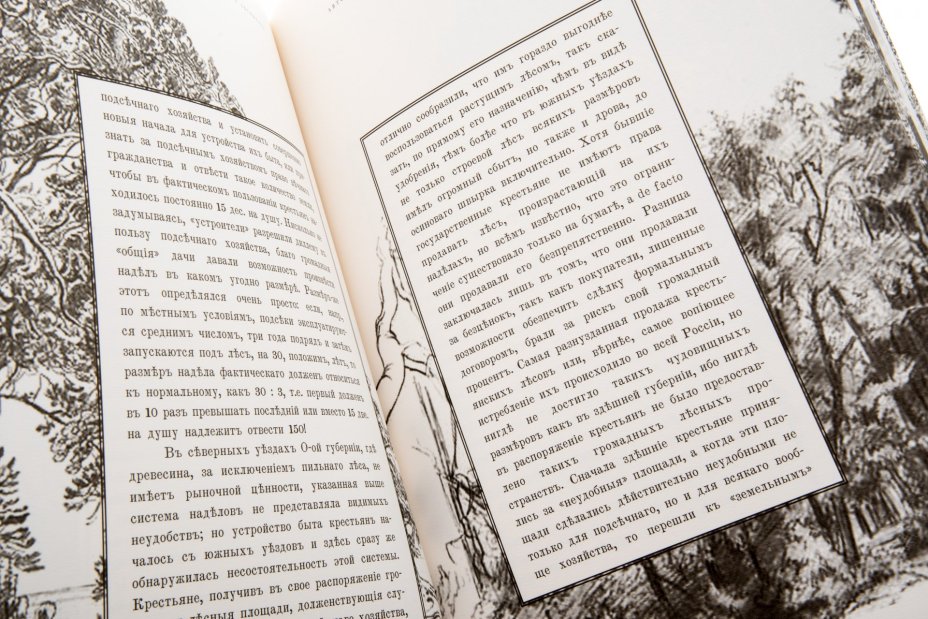 Альбом "Автобиографические заметки старого лесничего", бумага, печать, Россия, 2006 г.