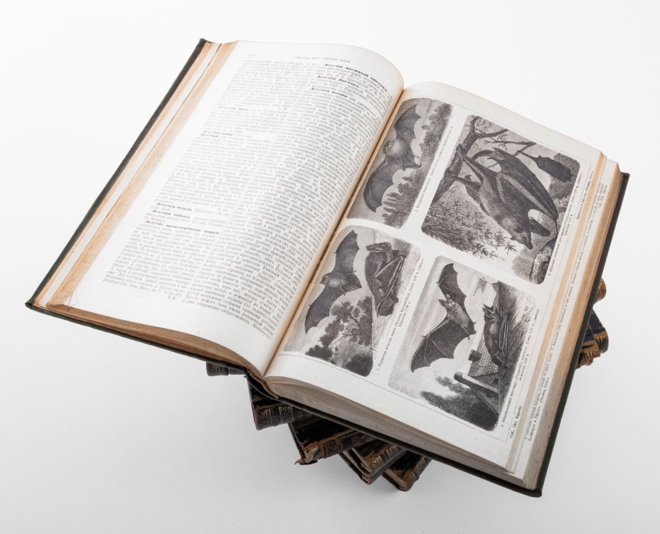 Энциклопедический словарь Ф.А. Брокгауза и И.А. Ефрона (т. 15, 22, 29, 32, 34, 36, 42, 43, 44), Типо-литография И.А. Ефрона