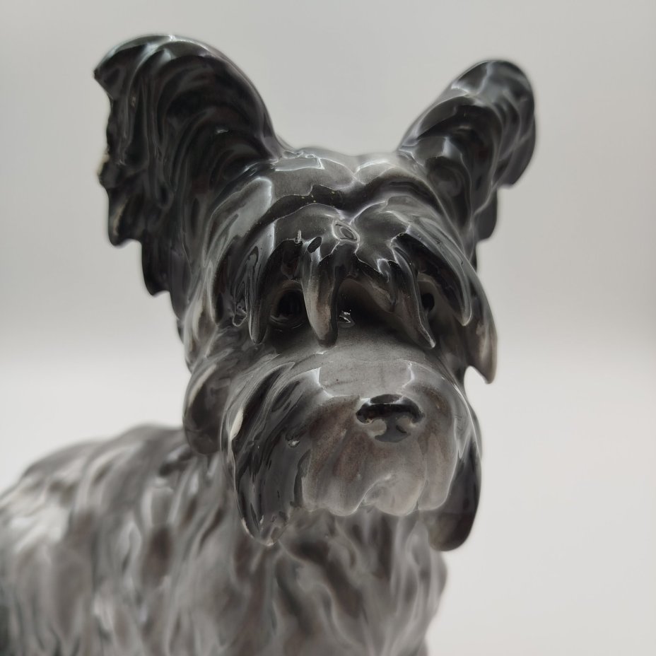 Статуэтка "Скайтерьер", фарфор, аэрография, Carl Scheidig, Gräfenthal, Германия, 1950-1972 гг.
