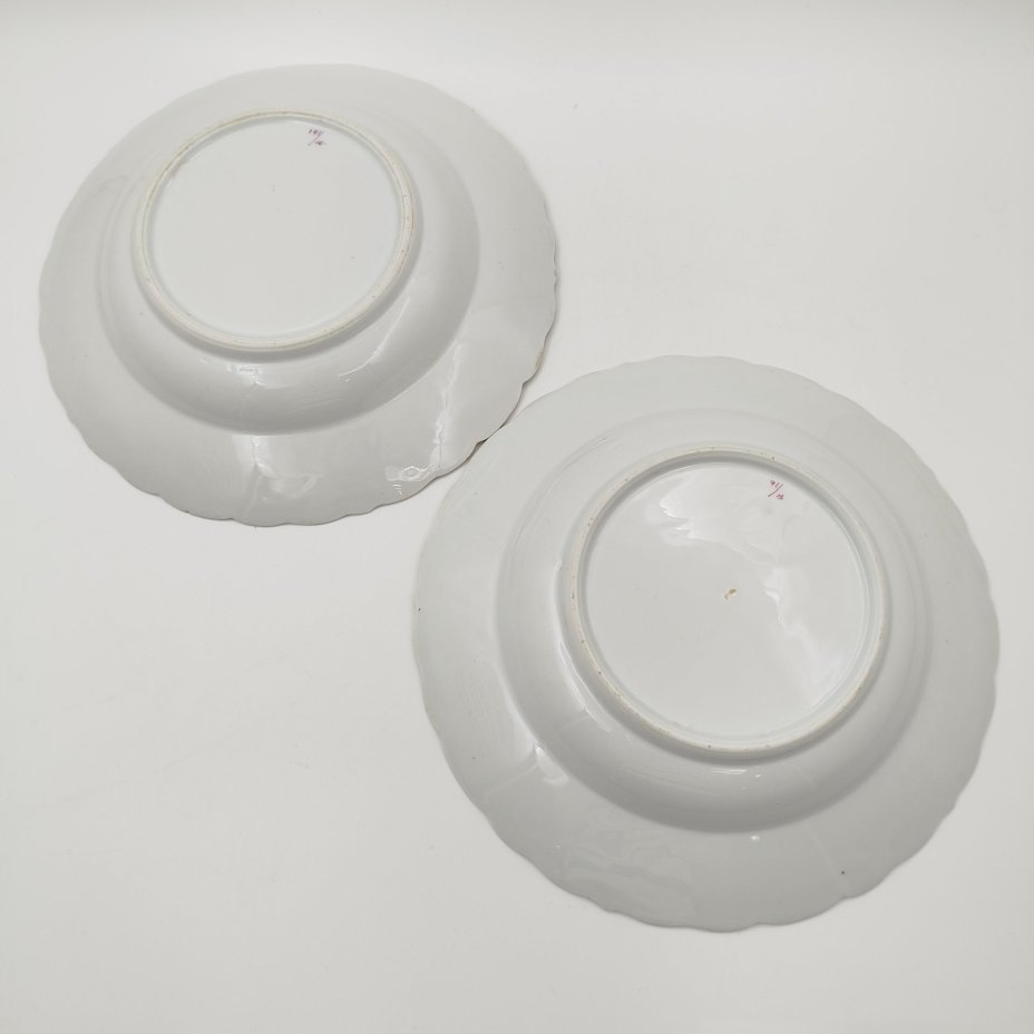 Пара суповых тарелок с декором в виде голубых цветов