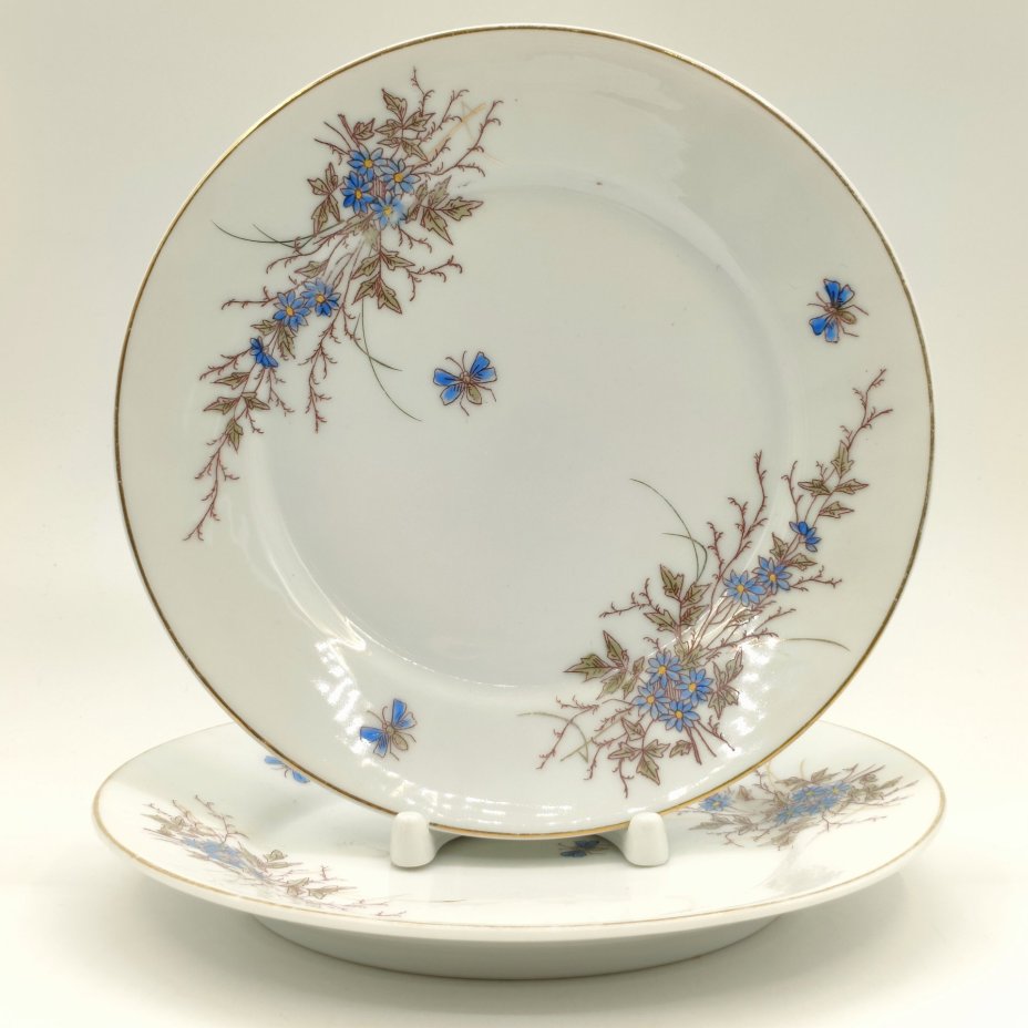 Пара десертных тарелок с цветочным декором, De Fuisseaux Baudour, фарфор, деколь с подрисовкой, золочение, Бельгия, 1900-1918 гг.