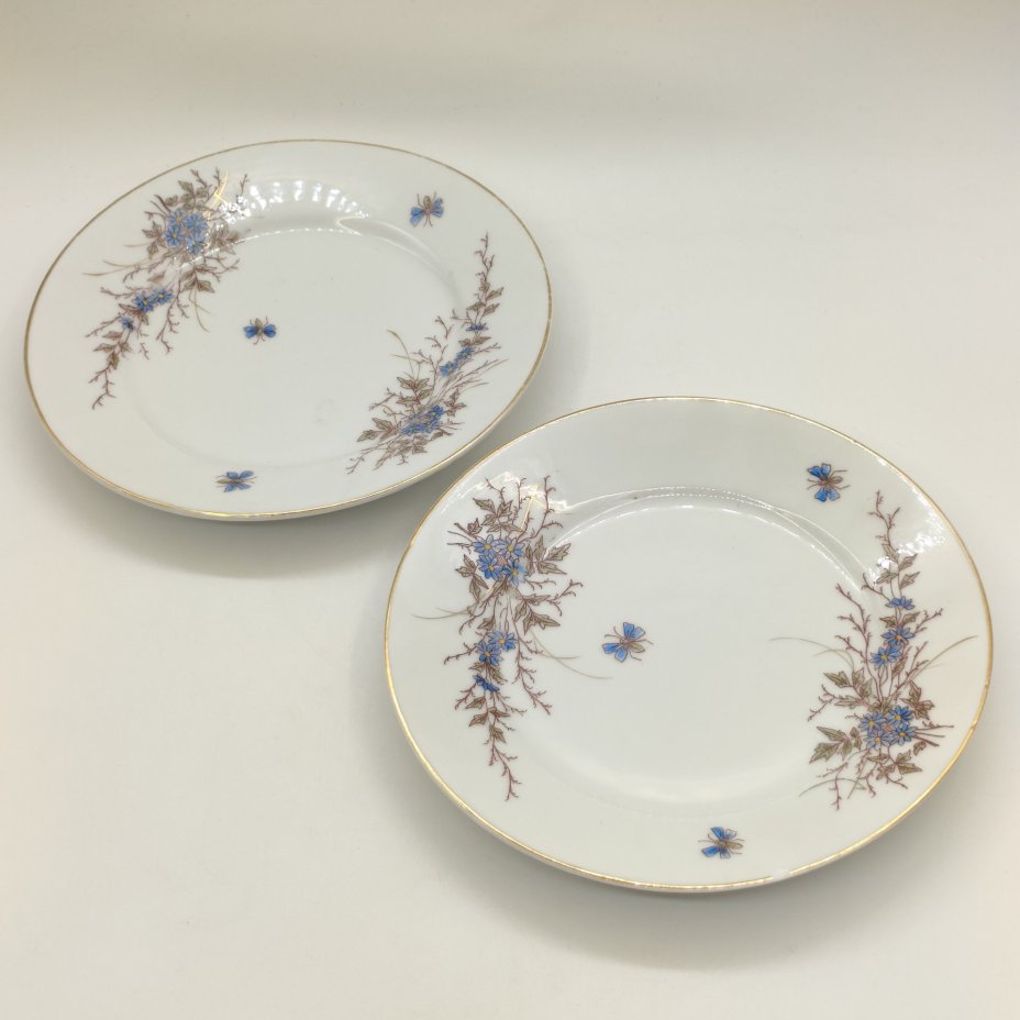 Пара десертных тарелок с цветочным декором, De Fuisseaux Baudour
